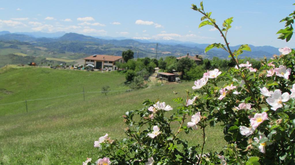 Willa La Palazzina Di Ciagnano Ozzano dell'Emilia Zewnętrze zdjęcie